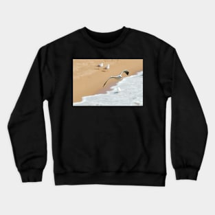 Flight Crewneck Sweatshirt